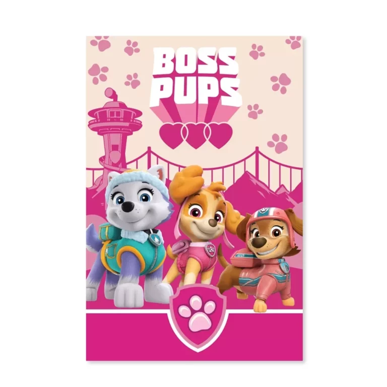01. Paw Patrol 'Boss Pups' Deka, 100×150 Cm